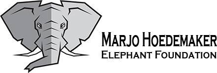Stichting Marjo Hoedemaker Elephant Foundation