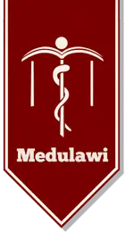 Stichting Medulawi