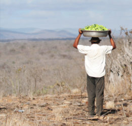 Stichting Mens Op Aarde