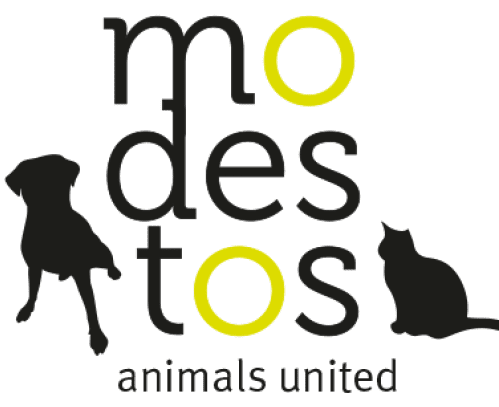 Stichting Modestos Nederland