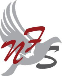 Stichting Nederlands- Filippijnse Solidariteitsbeweging