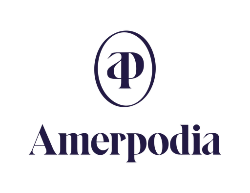 Stichting Open Recorder Days Amsterdam