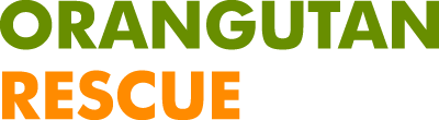 Stichting Orangutan Rescue