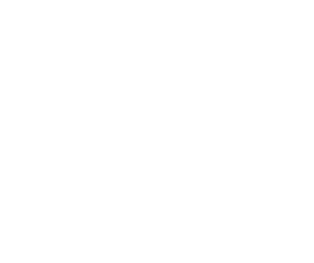 Stichting Orchestre Partout