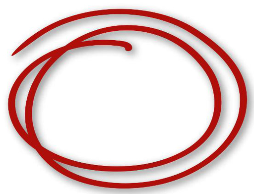 Stichting Ouderen Samen