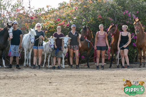 Stichting Pippi 'SOpvang