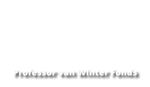Stichting Professor Van Winter Fonds