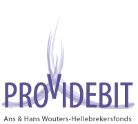 Stichting Providebit