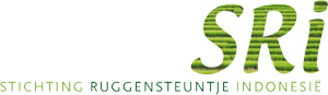 Stichting Ruggensteuntje Indonesie