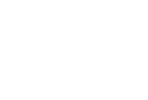 Stichting Satu Persatu