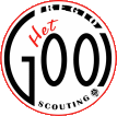 Stichting Scouting Regio Gooi