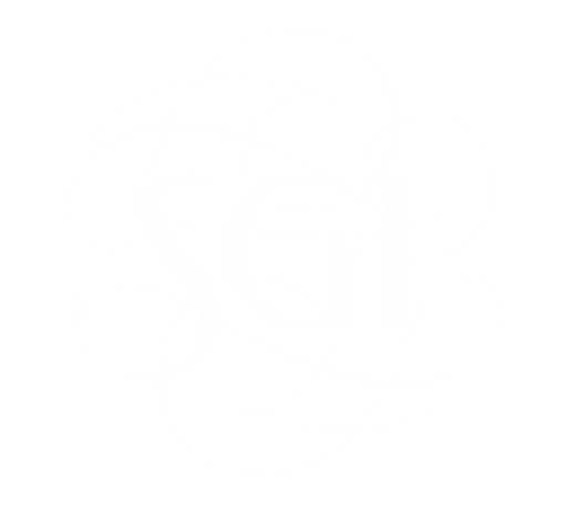 Stichting Sgi Nederland