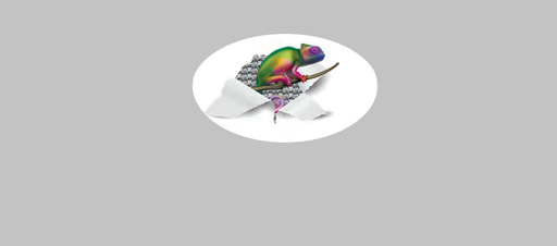 Stichting Share2day Foundation