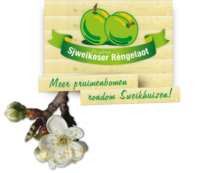 Stichting Sjweikeser Rengeloat