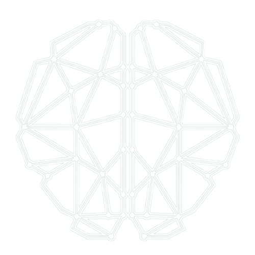 Stichting Somali Millennials