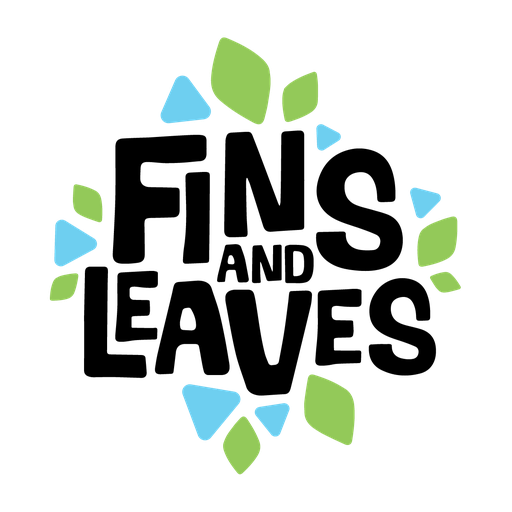 Stichting South Sea Exclusive