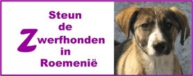 Stichting Steun De Zwerfhonden In Roemenie