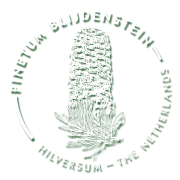 Stichting Steunfonds Pinetum Blijdenstein