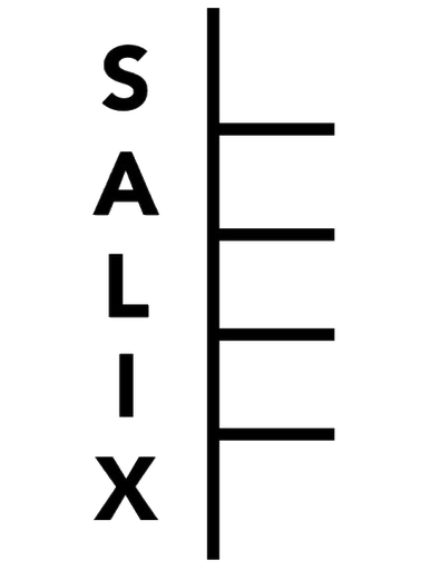 Stichting Studio Salix