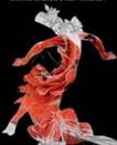 Stichting Terremoto (Kunst En Flamenco)