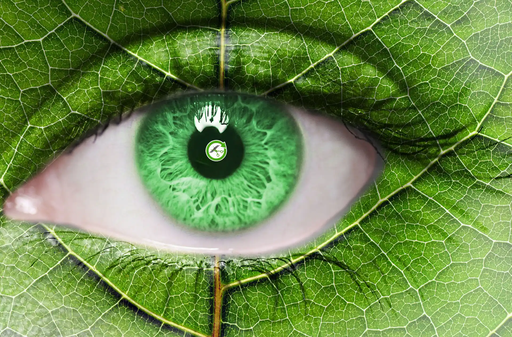 Stichting The Green Scissors Foundation