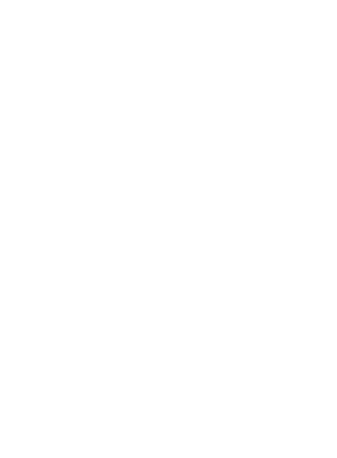 Stichting Theaterfirma Linea Rekta