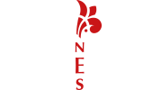 Stichting Theaterkerk Nes
