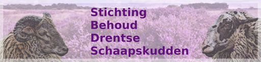 Stichting Tot Behoud Van Drentse Schaapskudden