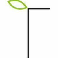 Stichting Tuin Van Haarlem