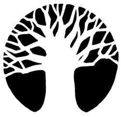 Stichting Ubuntu Gambia