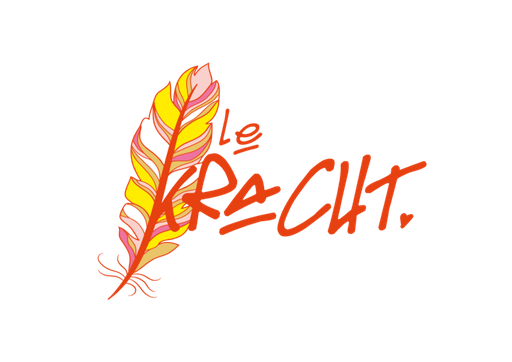 Stichting Veer (Le) Kracht