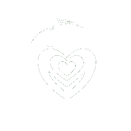 Stichting Verandering Door Verbinding (Vdv)