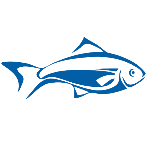 Stichting Vissenasiel Nederland