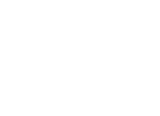 Stichting Volle Evangelie Gemeente De Rots