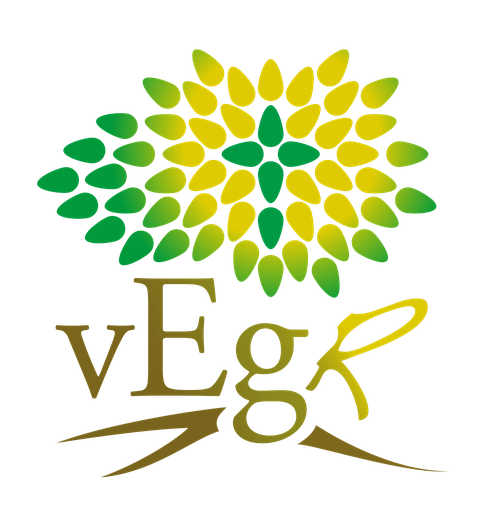 Stichting Volle Evangelie Gemeente Rijswijk