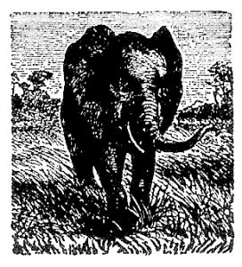 Stichting Vrienden Van Chiromo