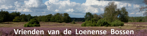 Stichting Vrienden Van De Loenense Bossen