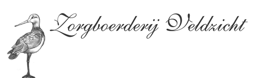 Stichting Vrienden Van Veldzicht