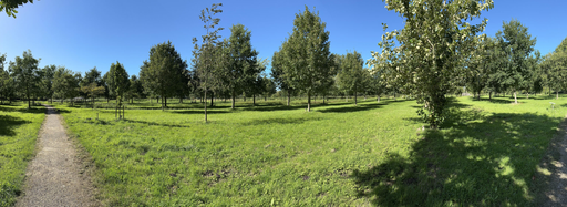 Stichting Vrijheidsbos Brielle