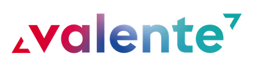 Stichting Vrouwenopvang Nederland