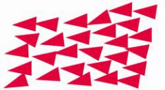 Stichting Weerbaarheid En Solidariteit