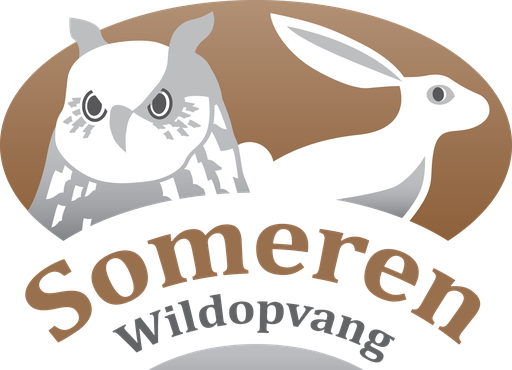 Stichting Wildopvang Someren