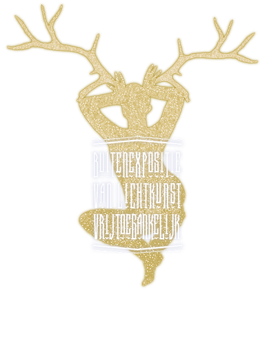 Stichting Winterlicht