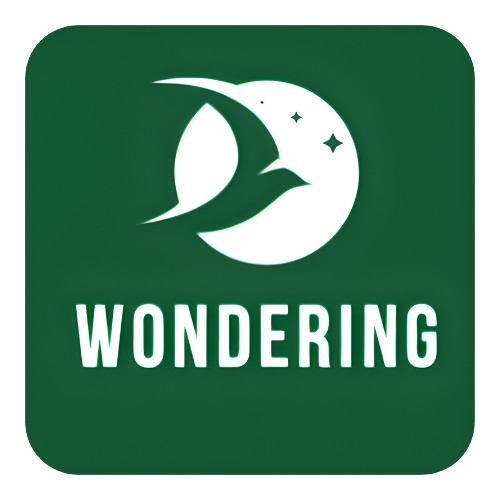 Stichting Wondering