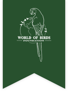 Stichting World Of Birds Foundation