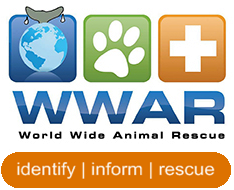 Stichting World Wide Animal Rescue