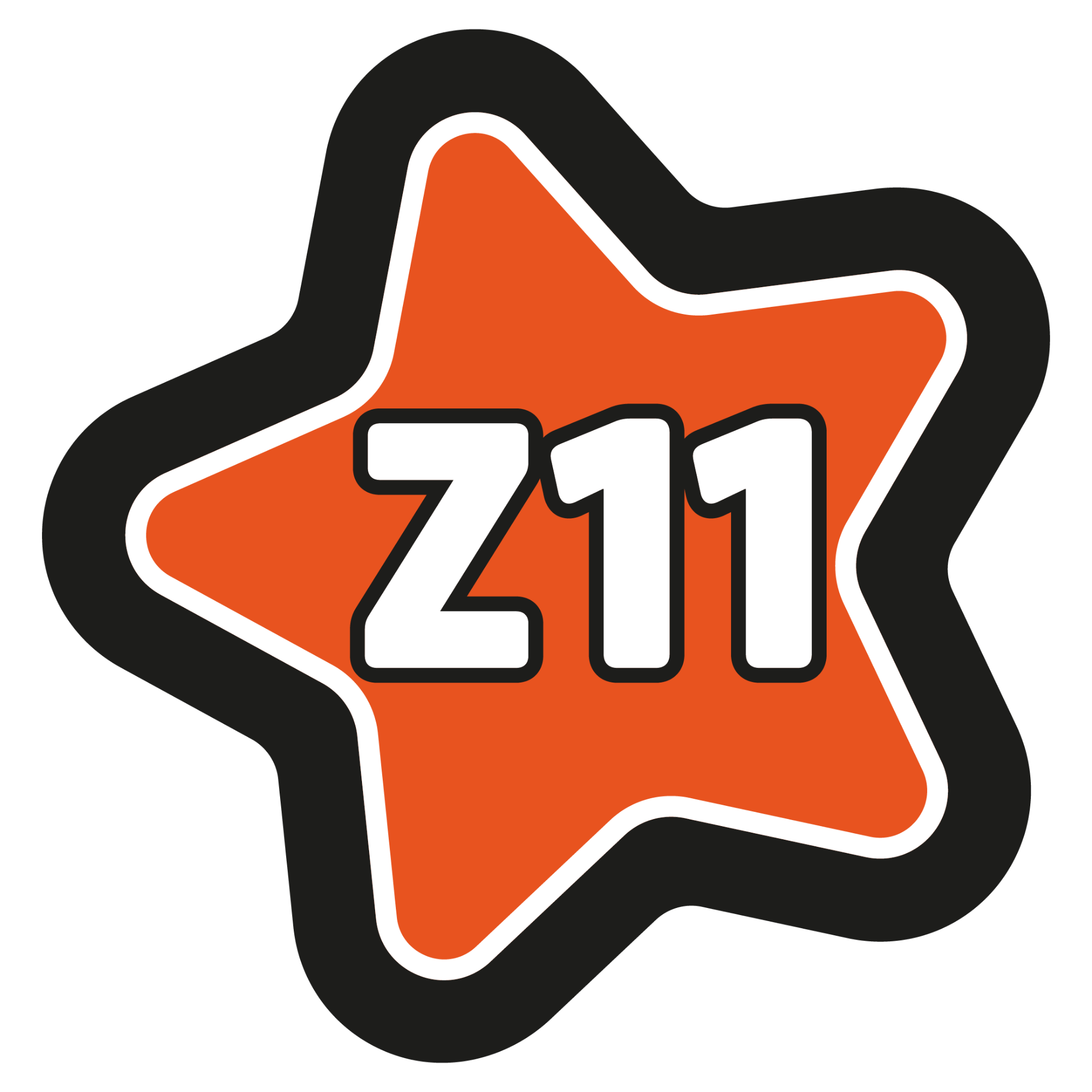 Stichting Z11 Jongerencoaching