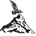 Stichting Zonder Pardon Op Straat