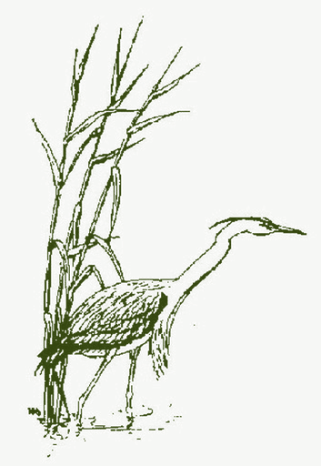 Vrienden Van Het Beatrixpark