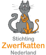 Zwerfkatten Nederland